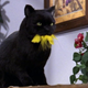 Salem is one of the greats.